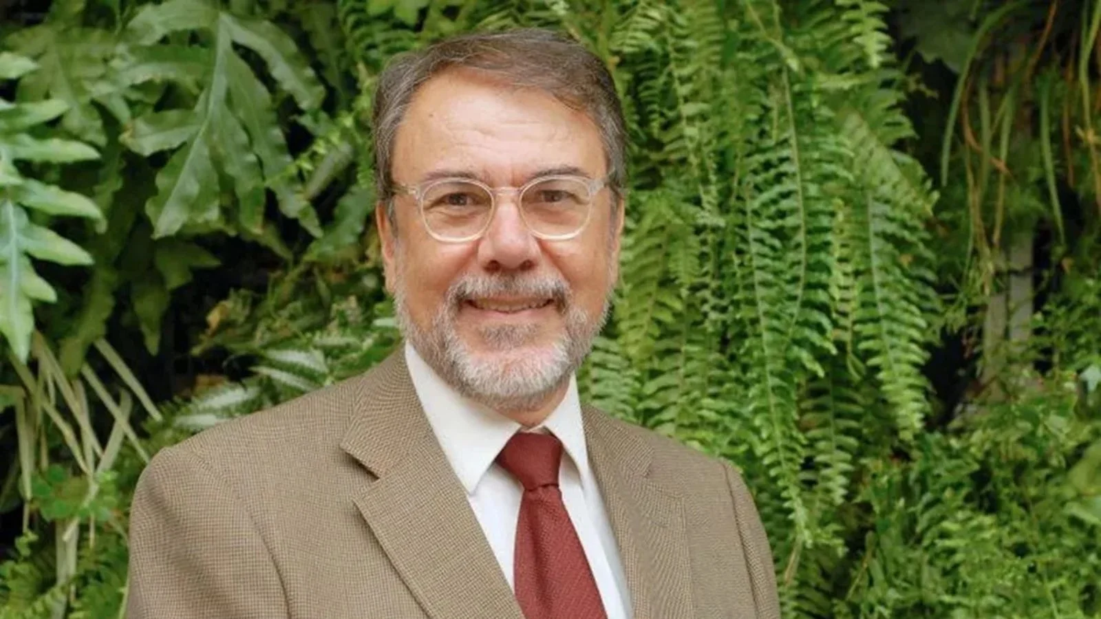 Capa