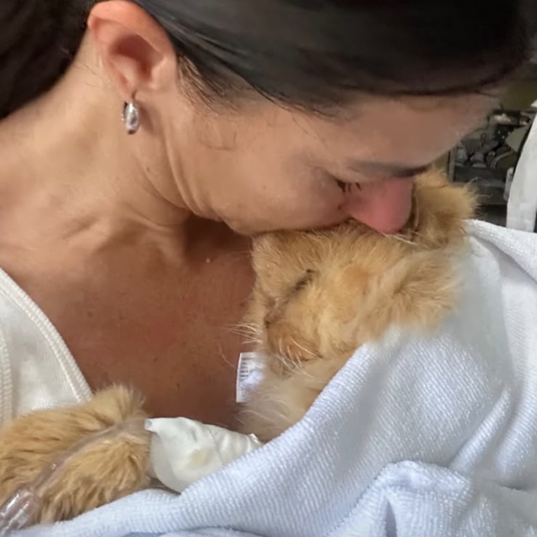 A Despedida de um Companheiro de 18 Anos: Jessica Senra Anuncia a Morte de Nietzsche, Seu Gato Amado